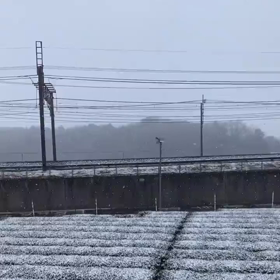 大雪はどこへ？！の画像