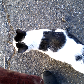 うっち～(^^)の画像