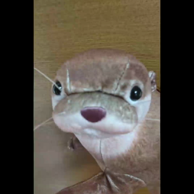 あなたな～ら、どうする～♪の画像