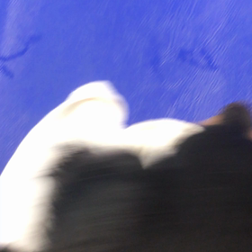 お見舞い２の画像