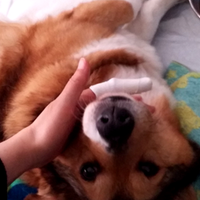 久々やっちまったの画像