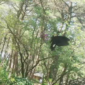 優しい時間の画像