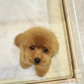 ☆うるうる〜❤︎☆の画像