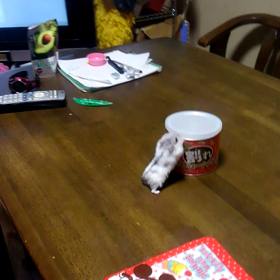 缶の蓋を開けるバニラの画像