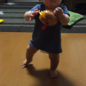 歩きます…の画像