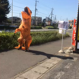 恐竜いるよ〜の画像