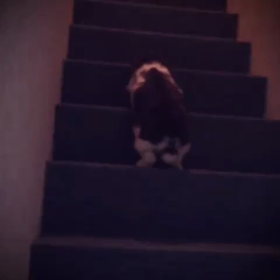 気持ちはしっかりの画像