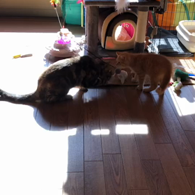 花と竜　４の画像