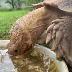 朝から爆笑しました。このおもしろさを共有できたらいいな。の画像