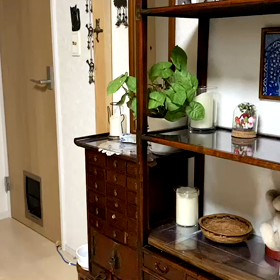 今日は何を？の画像