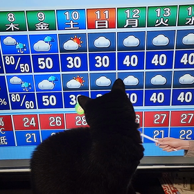 夕方のルーティーンの画像