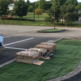 2回目、訓練20Ｋの画像