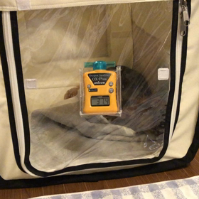 酸素ハウス〜双方必死！の画像