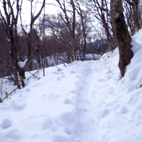 出来るかな？の画像