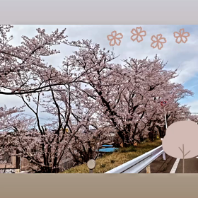 朝の幸せ♡の画像