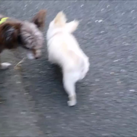 脳腫瘍グリオーマといわれて　【　始まり　～　現在まで　㉚　】の画像