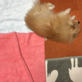 寒いっ！の画像