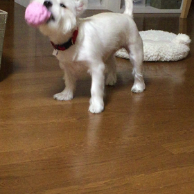 時間でしょ❗️の画像