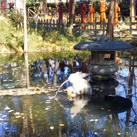 動画をチラリ♪の画像