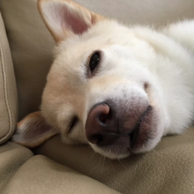 秋分の日の画像