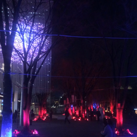 うつくしい魔法の林が開催中の画像