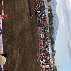 動画ですの画像