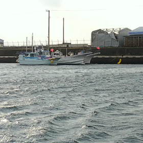 思ってたよりも、大荒れ！！の画像