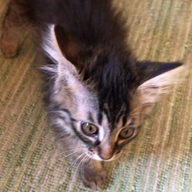 日差しに包まれて☺️の画像