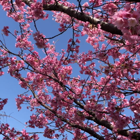 カラフルは個性の画像
