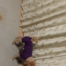 窓ぎわ☆の画像