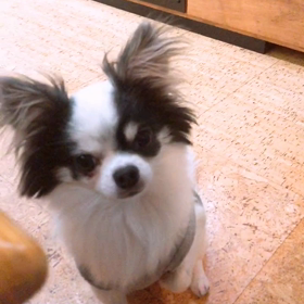 食べたい人おの画像