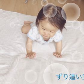 ずり這いムービーの画像