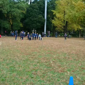 ダッシュ(黄色チーム)②の画像