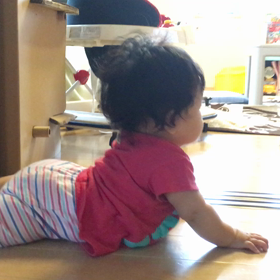 ハイハイ前進〜♡の画像