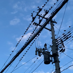 認知症　追記の画像