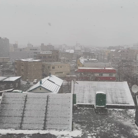 雪・雪・雪の画像