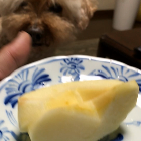 りんご。。。大好きなんです。の画像