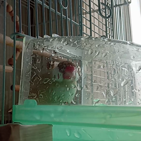 *どうしようかな時間の画像