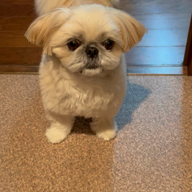 ヘッドマッサージャーの画像