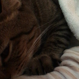 ☆ラス君体調いいね☆の画像