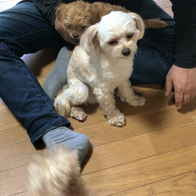 久々レイ君とコミニュケーションの画像