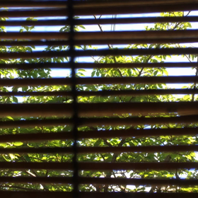 夏本番♪の画像