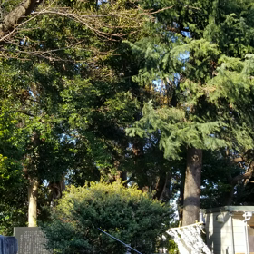 氏神さまにお参りの画像