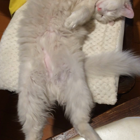 工場長…の画像