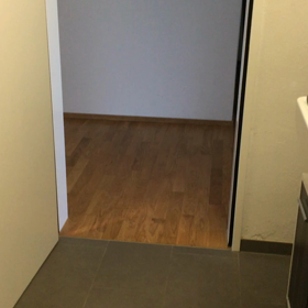 うちに新しい仲間がやってきた話の画像