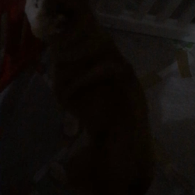 今夜は徹夜？？の画像