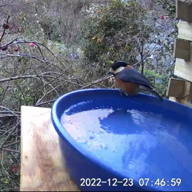 すぎぴたんの事件簿シーズン3　127話の画像