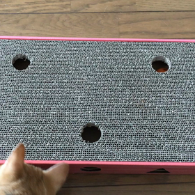 爪研ぎ　兼　おもちゃの画像