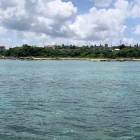 今日からウミウシダイブ〜＊°+.の画像