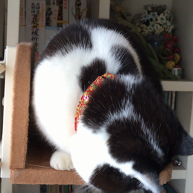 朝からとってもね。の画像